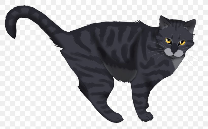 Black Cat Chartreux Korat American Wirehair Warriors, PNG, 900x560px, Black Cat, Adderfang, American Wirehair, Animal Figure, Asian Download Free