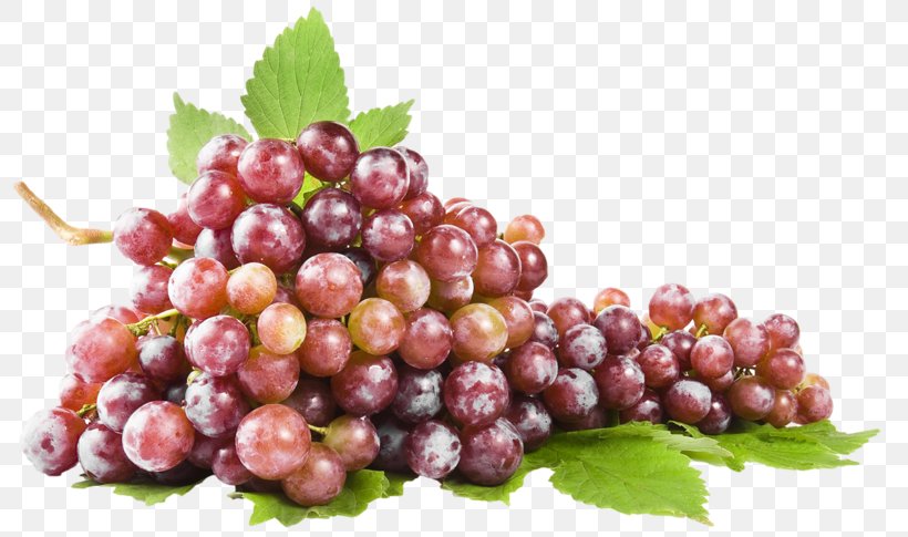 Common Grape Vine Stock Photography Wine, PNG, 800x485px, Common Grape Vine, Berry, Boysenberry, Chokeberry, Cranberry Download Free