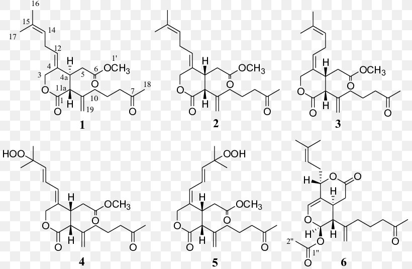 White Car Drawing Point, PNG, 811x535px, White, Area, Auto Part, Batrachotoxin, Black And White Download Free