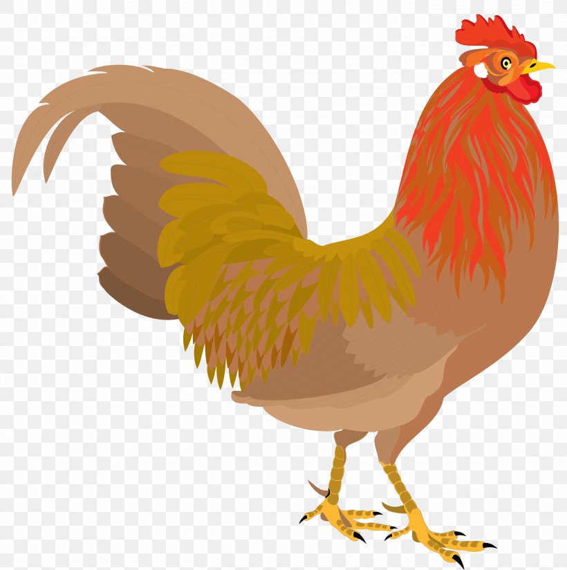 Chicken Rooster Clip Art, PNG, 2698x2714px, Chicken, Art, Beak, Bird, Comb Download Free