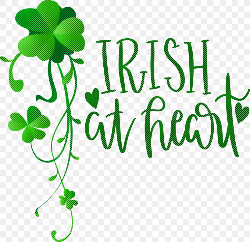 Shamrock Irish Saint Patrick, PNG, 2999x2912px, Shamrock, Clover, Fourleaf Clover, Irish, Royaltyfree Download Free