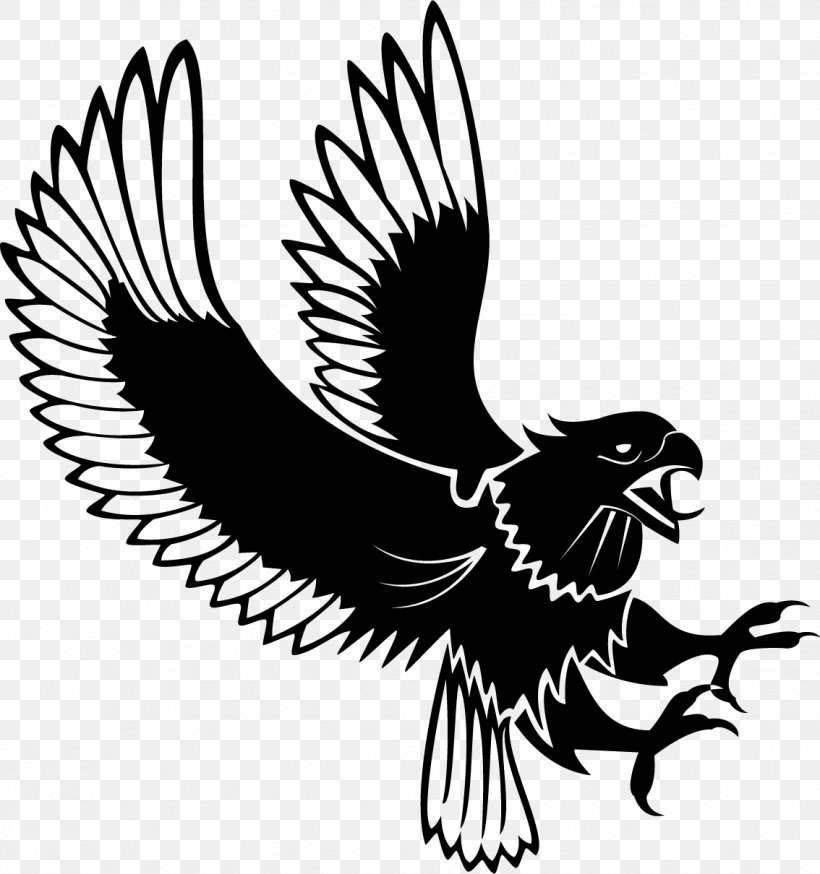 Bald Eagle Clip Art, PNG, 1134x1210px, Bald Eagle, Art, Beak, Bird, Bird Of Prey Download Free