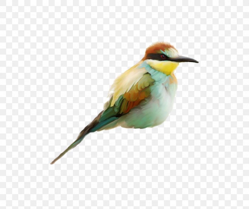 Bird Bee-eater House Sparrow Beak, PNG, 1600x1345px, Bird, Beak, Bee Eater, Beeeater, Bird Flight Download Free