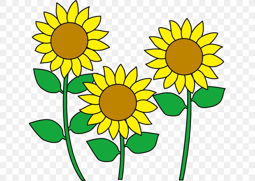 Common Sunflower Clip Art, PNG, 635x581px, Common Sunflower, Artwork, Black And White, Cartoon, Cut Flowers Download Free