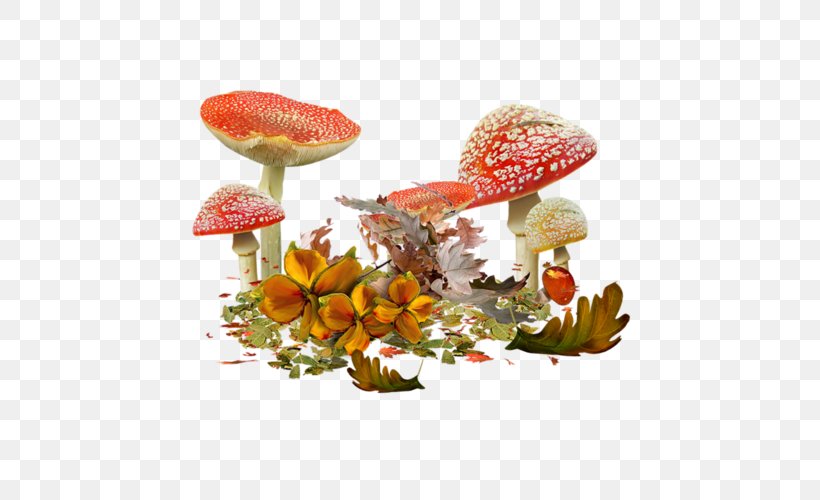 Desktop Wallpaper Clip Art, PNG, 500x500px, Fungus, Art, Autumn, Drawing, Edible Mushroom Download Free