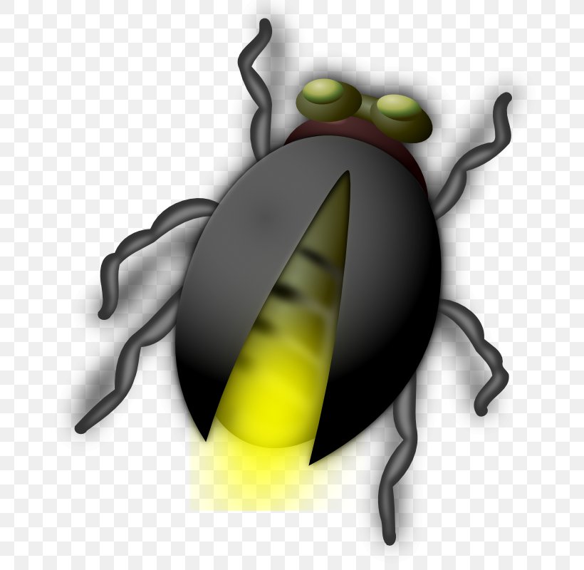 Free Content Clip Art, PNG, 800x800px, Free Content, Beetle, Black And White, Blog, Cartoon Download Free