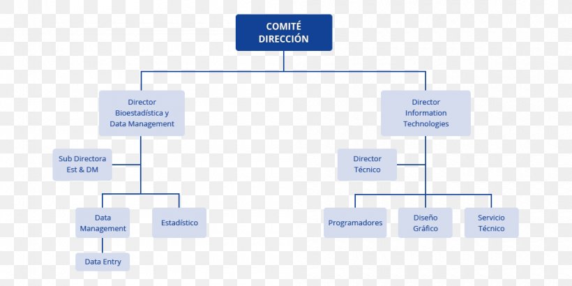 Organizational Chart Empresa Statistics Logistics, PNG, 1000x500px, Organizational Chart, Area, Brand, Chart, Contract Research Organization Download Free