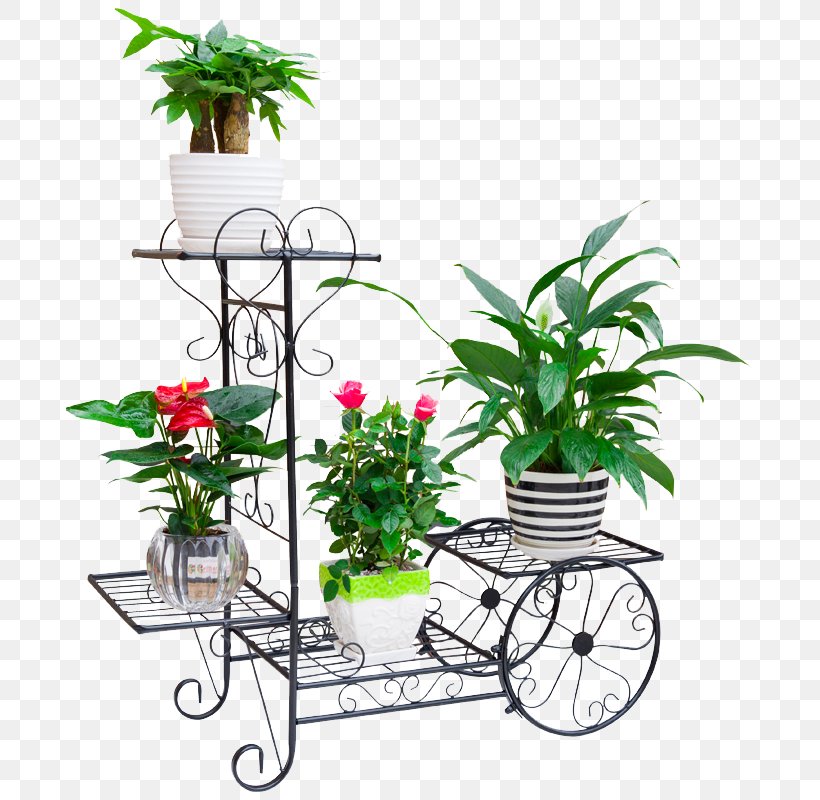 Cut Flowers Flowerpot Floristry Houseplant, PNG, 800x800px, Cut Flowers, Bicycle, Bicycle Accessory, Flora, Floristry Download Free