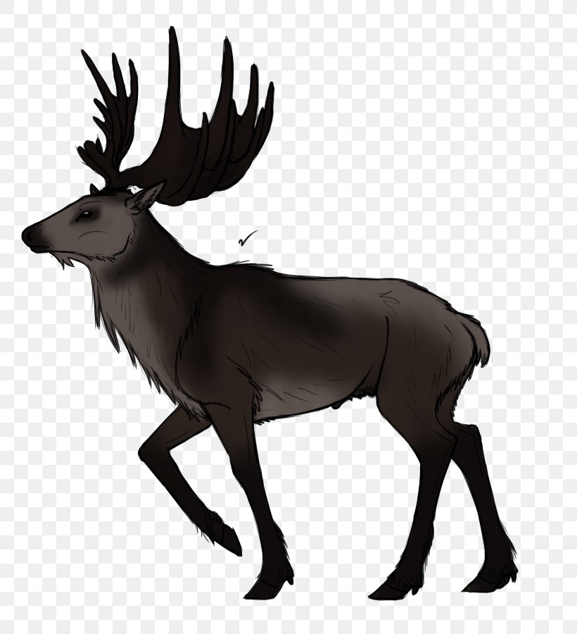 Reindeer Irish Elk Horn Drawing, PNG, 800x900px, Reindeer, Animal, Antelope, Antler, Art Download Free