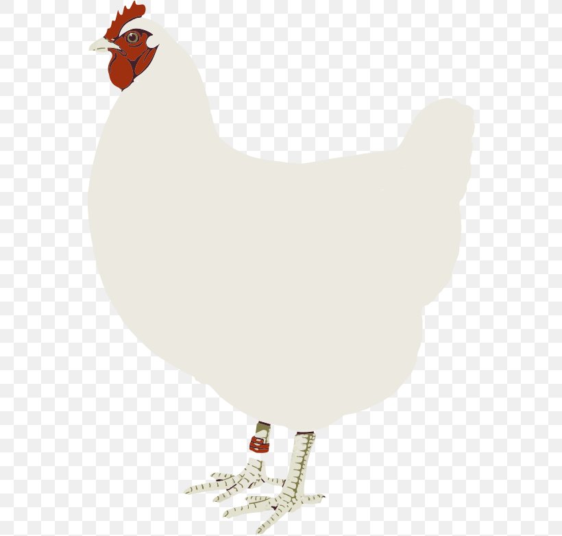 Rooster Chicken Clip Art, PNG, 566x782px, Rooster, Beak, Bird, Chicken, Feather Download Free