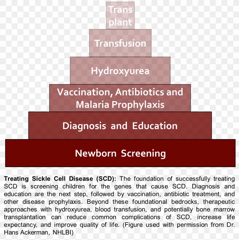 Sickle Cell Disease Science Preventive Healthcare, PNG, 1245x1251px, Sickle Cell Disease, Anemia, Brand, Cause, Diagram Download Free