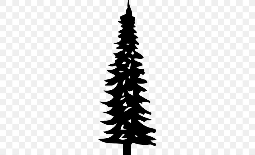 Spruce Christmas Tree Christmas Ornament Malaysia Pine, PNG, 678x501px, Spruce, Black And White, Branch, Burma, Christmas Download Free