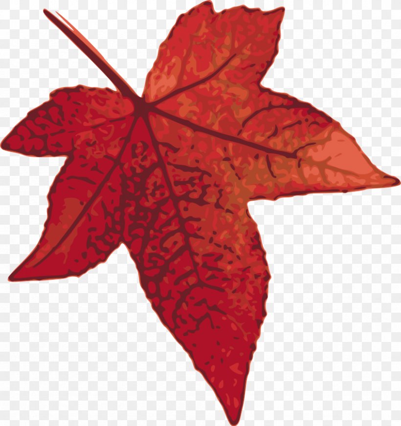 Canada Red Maple Maple Leaf Clip Art, PNG, 846x900px, Canada, Autumn, Autumn Leaf Color, Drawing, Flowering Plant Download Free