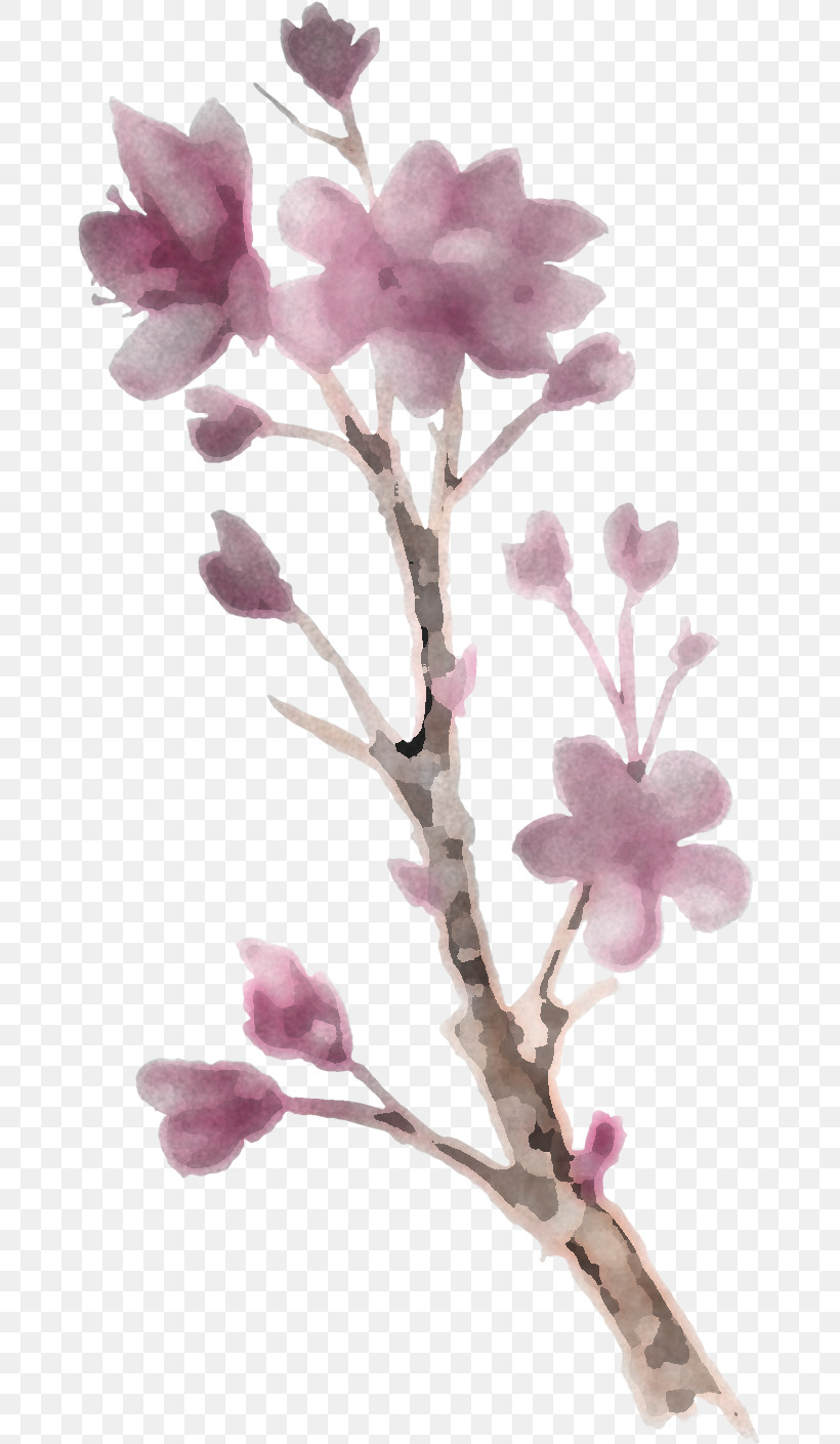 Cherry Blossom, PNG, 667x1409px, Flower, Blossom, Branch, Cherry Blossom, Lilac Download Free