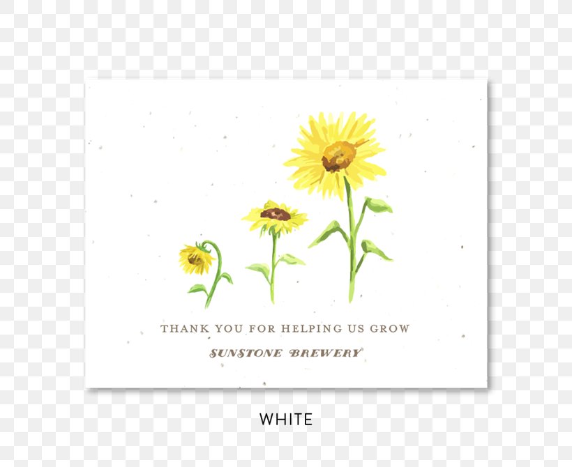 Common Sunflower Seed Paper Wedding Invitation, PNG, 670x670px, Common Sunflower, Business, Daisy Family, Flora, Floral Design Download Free