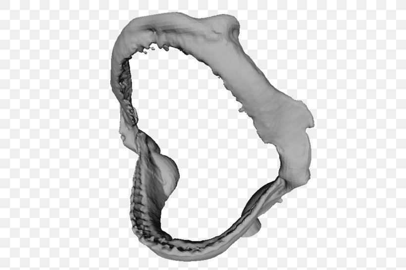 Silver Body Jewellery Jaw, PNG, 650x545px, Silver, Black And White, Body Jewellery, Body Jewelry, Jaw Download Free