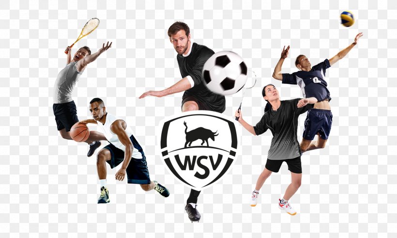 WSV Sport Dynamictennis Apeldoorn Ball Game, PNG, 1500x900px, Wsv, Apeldoorn, Badminton, Ball, Ball Game Download Free
