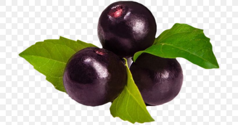Açaí Na Tigela Açaí Palm Berry Smoothie Concord Grape, PNG, 699x431px, Berry, Antioxidant, Blueberry, Concord Grape, Cranberry Download Free