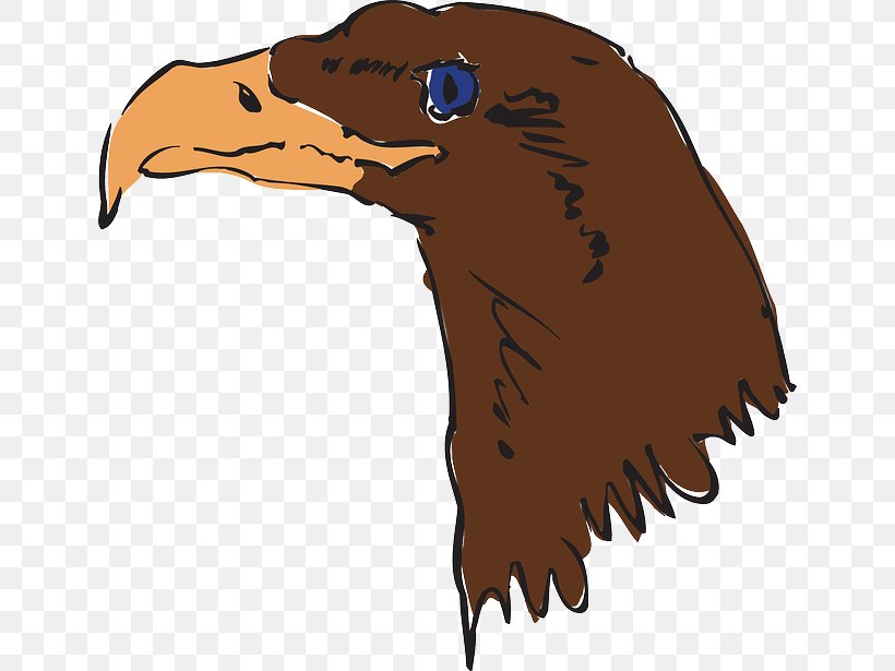 Bald Eagle Bird Beak Clip Art, PNG, 640x615px, Eagle, Accipitriformes, Bald Eagle, Beak, Bird Download Free