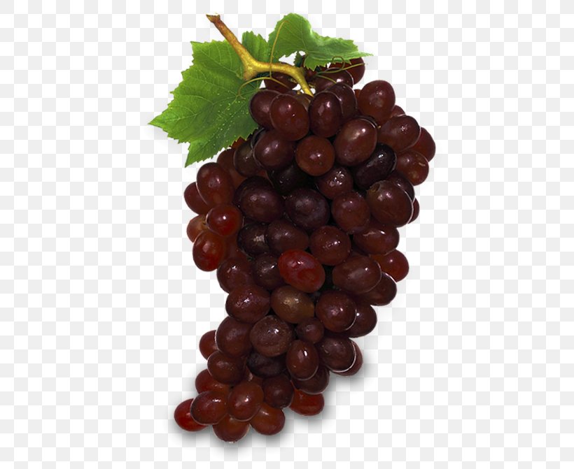 Fruit Grape Sultana Food Berry, PNG, 787x671px, Fruit, Auglis, Avocado, Berry, Boysenberry Download Free