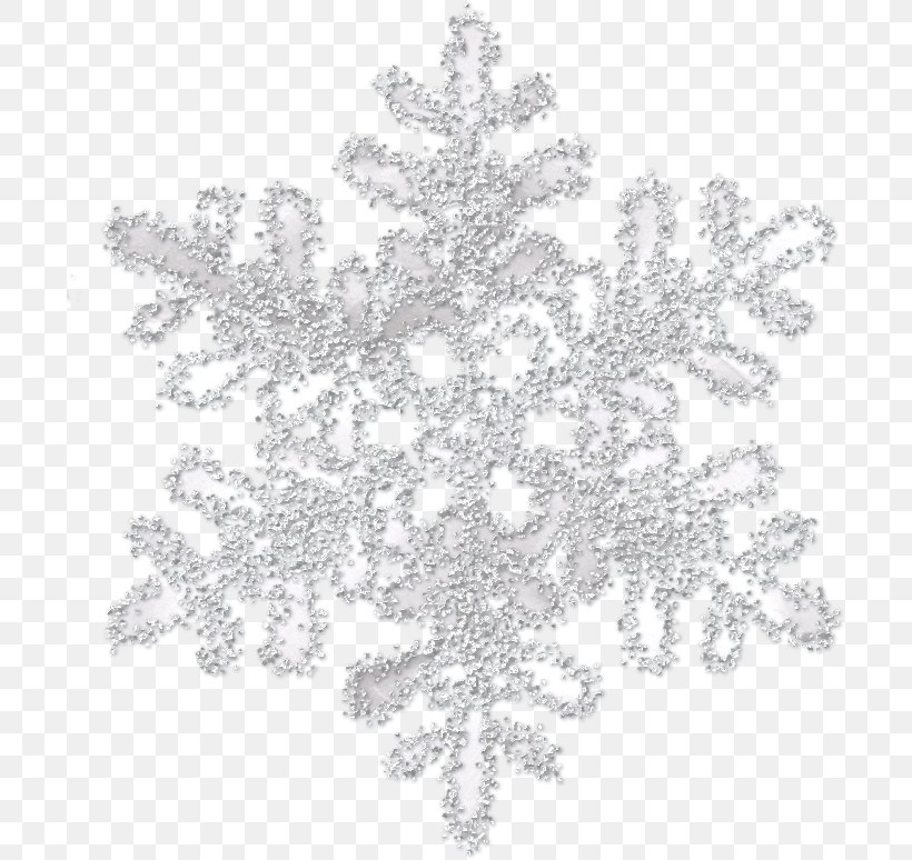 Snowflake Icon, PNG, 700x774px, Snowflake, Black And White, Christmas, Crystal, Generation Snowflake Download Free