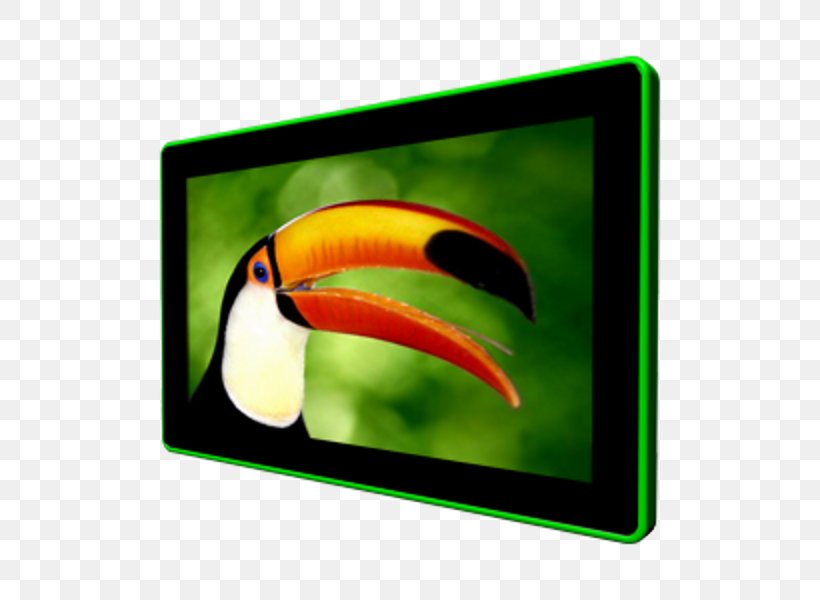 Toco Toucan Parrot Bird Panel PC, PNG, 600x600px, Toucan, Beak, Bird, Computer, Embedded System Download Free