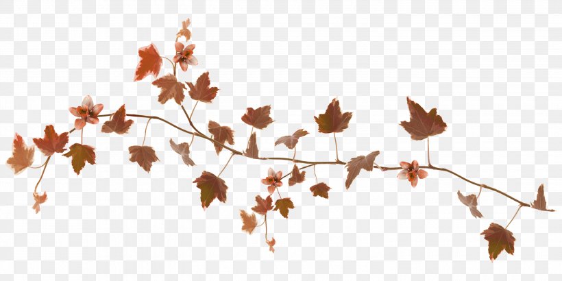 Autumn Leaf Color Autumn Leaf Color Desktop Wallpaper GIF, PNG, 3000x1500px, Leaf, Autumn, Autumn Leaf Color, Branch, Idea Download Free