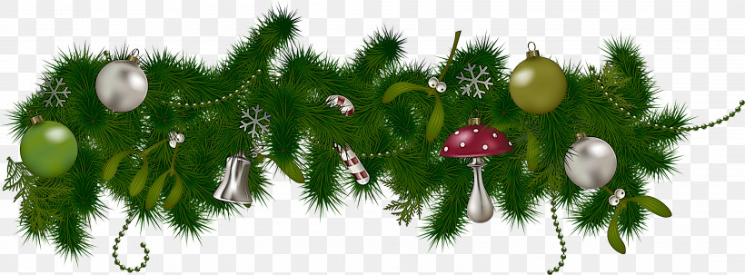 Christmas Decoration, PNG, 4270x1583px, Oregon Pine, American Larch, Branch, Christmas Decoration, Christmas Tree Download Free