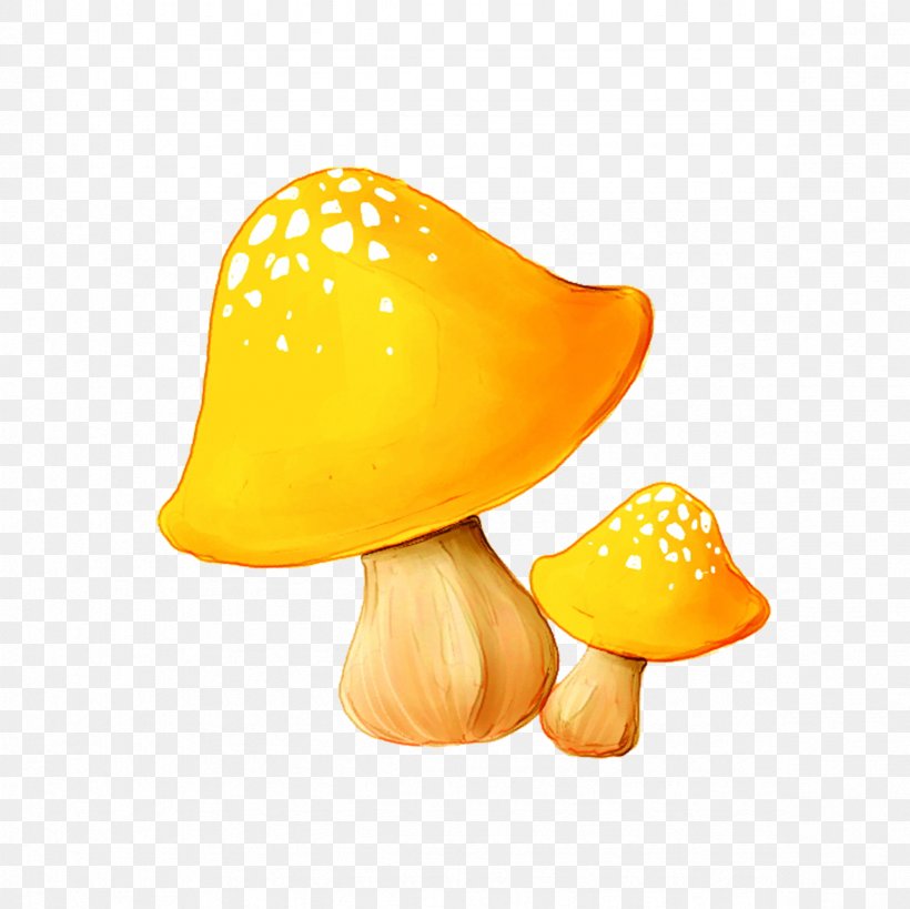 Mushroom Enokitake, PNG, 2362x2362px, Mushroom, Enokitake, Fungiculture, Fungus, Orange Download Free