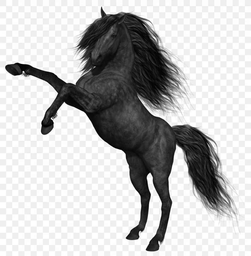 Mustang Black Kladruber Stallion, PNG, 1622x1654px, Mustang, Black, Black And White, Bridle, Canter And Gallop Download Free