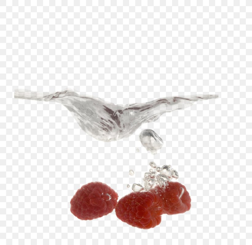 Raspberry Stock Photography Getty Images, PNG, 800x800px, Berry, Beak, Body Jewelry, Editorial, Getty Images Download Free