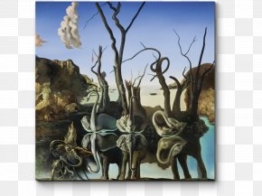 Painting - Swans Reflecting Elephants The Elephants Cygnini The Burning Giraffe Painting PNG