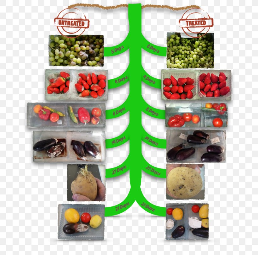 Vegetable Fruit Natural Foods Organic Food, PNG, 680x813px, Vegetable, Egyptian Cuisine, Food, Fruit, Kitchen Download Free