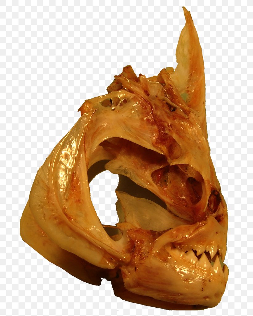 Pig's Ear Food Jaw Dish Network, PNG, 785x1024px, Food, Dish, Dish Network, Ear, Jaw Download Free