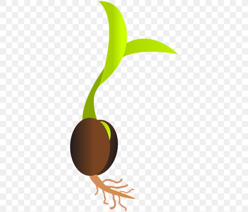 Cartoon Tree, PNG, 363x701px, Seedling, Bud, Germination, Logo, Plant Download Free
