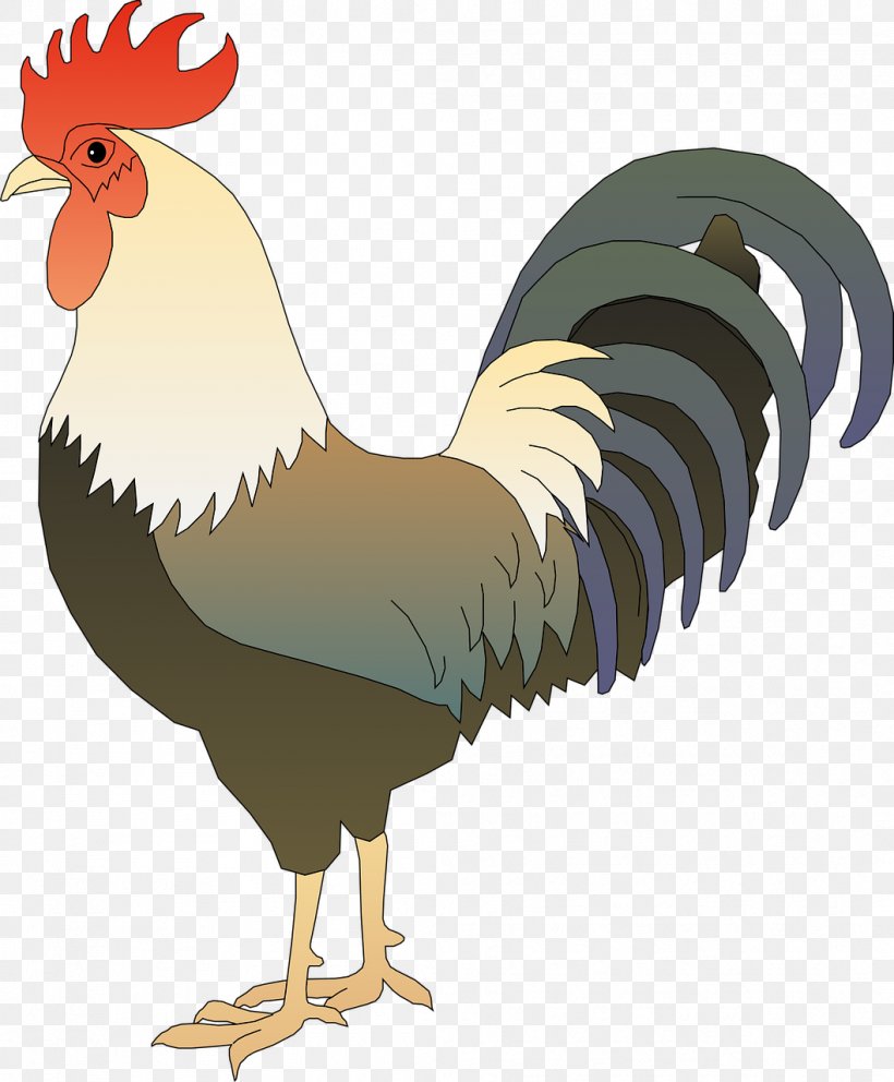 Chicken Rooster Clip Art, PNG, 1058x1280px, Chicken, Beak, Bird, Feather, Fowl Download Free