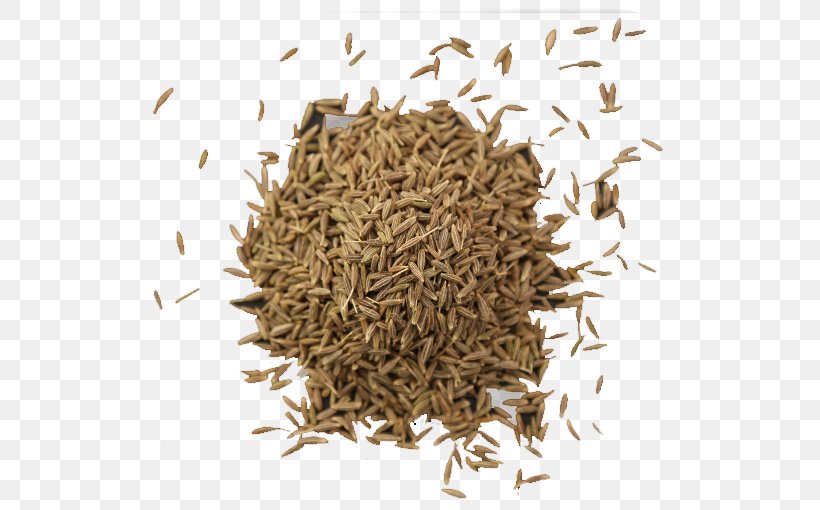 Dill Seed Food Fennel Spice, PNG, 612x510px, Dill, Assam Tea, Black Cumin, Chun Mee Tea, Commodity Download Free