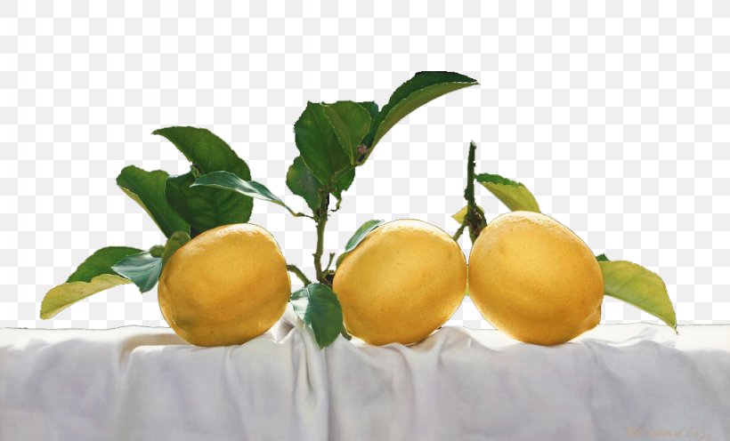 Meyer Lemon Vegetarian Cuisine Bitter Orange Citron, PNG, 1024x620px, Lemon, Apple, Apricot, Bitter Orange, Citron Download Free