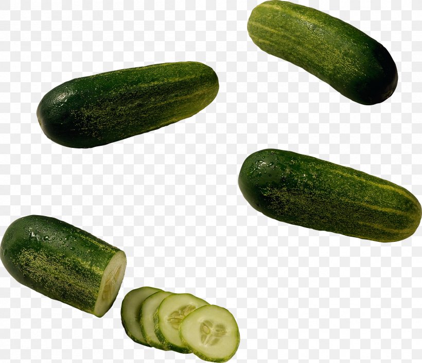 Pickled Cucumber Seed Fennel Vegetable, PNG, 2408x2079px, Cucumber, Apiaceae, Bell Pepper, Cucumber Gourd And Melon Family, Cucumis Download Free