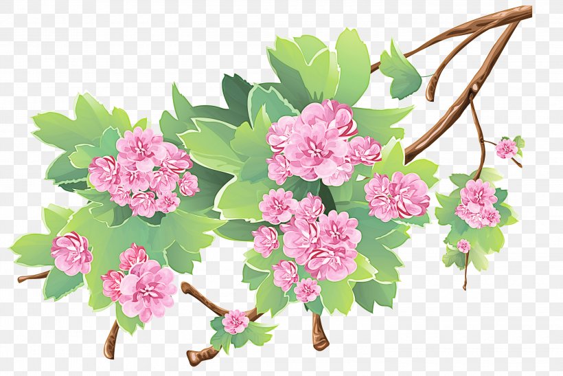 Flower Pink Plant Branch Cut Flowers, PNG, 3000x2003px, Flower, Blossom, Branch, Cut Flowers, Flowering Plant Download Free