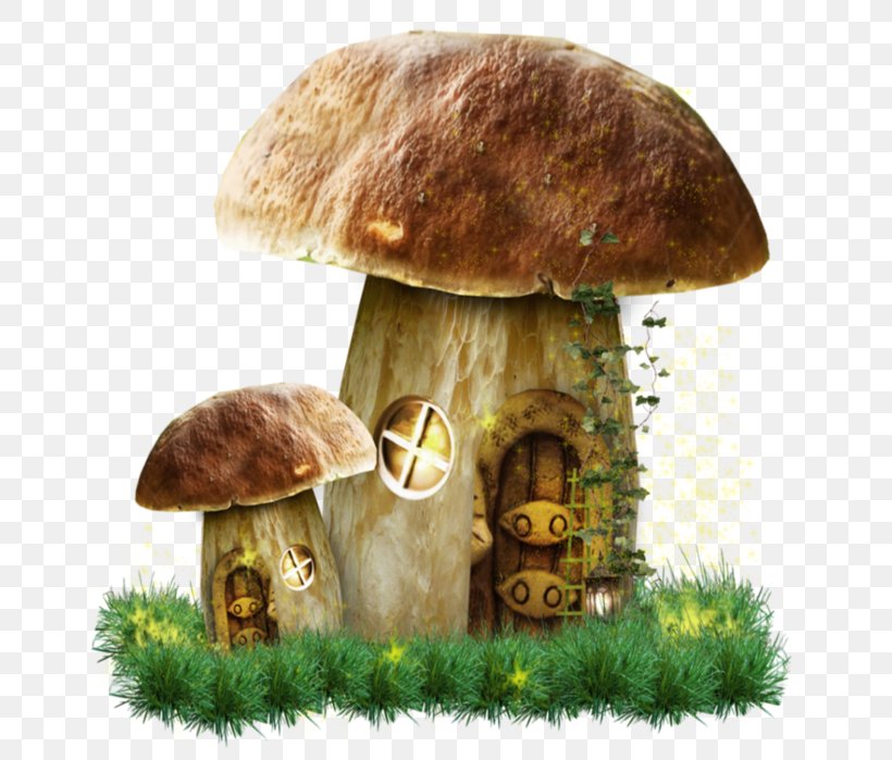 Fungus Hedgehog And Mushrooms Clip Art, PNG, 654x699px, Fungus, Drawing, Edible Mushroom, Information, Medicinal Fungi Download Free