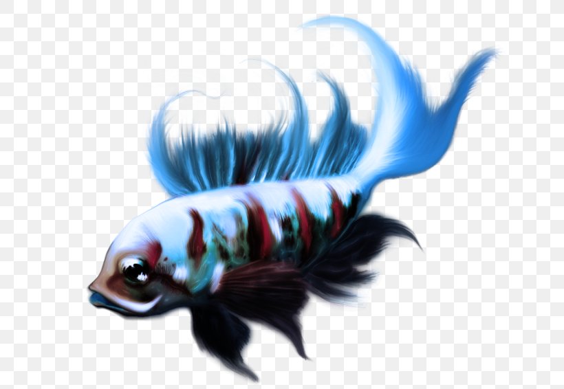 Koi Ornamental Fish, PNG, 800x566px, Koi, Art, Deviantart, Digital Art, Fish Download Free