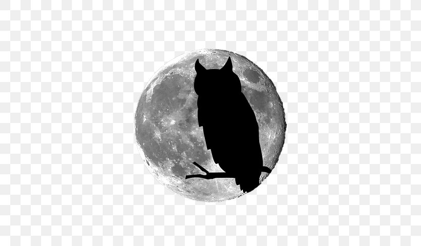 Owl Moon Art Full Moon, PNG, 600x480px, Owl Moon, Art, Black, Black And White, Canvas Download Free