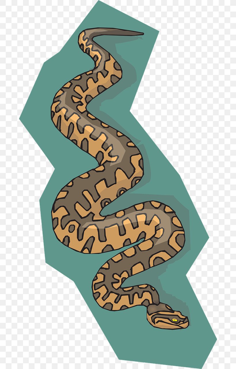 Snake Reptile Clip Art, PNG, 688x1280px, Snake, Amphibian, Animal, Art, Green Anaconda Download Free