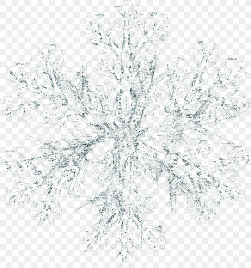 Snowflake Icon, PNG, 1997x2140px, Snowflake, Black And White, Logo, Monochrome, Monochrome Photography Download Free