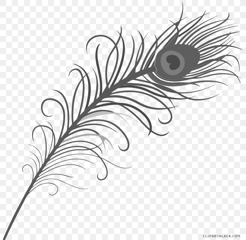 Feather Asiatic Peafowl Clip Art Tattoo, PNG, 800x800px, Feather, Art, Artwork, Asiatic Peafowl, Bird Download Free