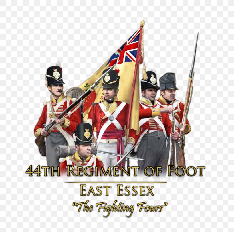Infantry 44th (East Essex) Regiment Of Foot Napoleonic Wars Essex Regiment, PNG, 695x814px, 44th East Essex Regiment Of Foot, Infantry, Battalion, Battle Of Waterloo, Essex Regiment Download Free