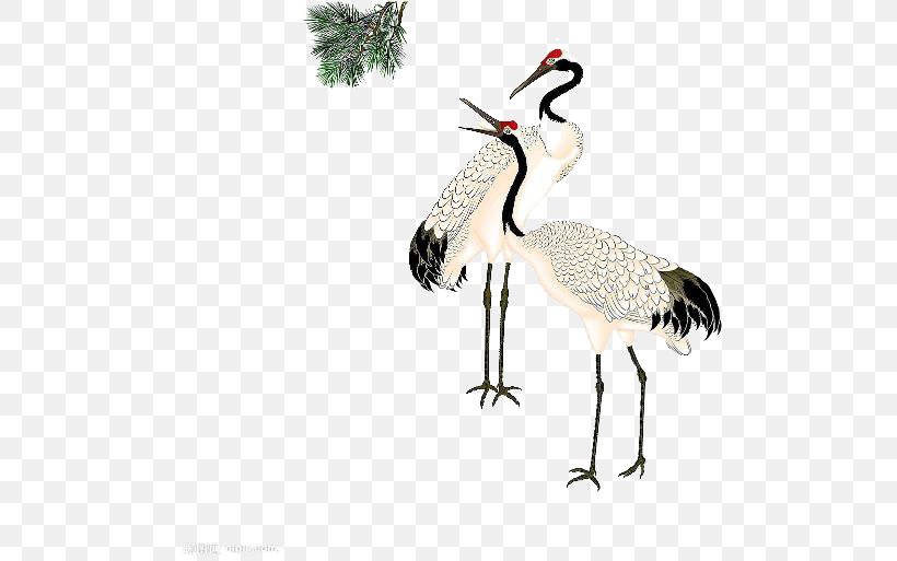 Red-crowned Crane Clip Art, PNG, 500x513px, Crane, Beak, Bird, Cartoon, Ciconiiformes Download Free