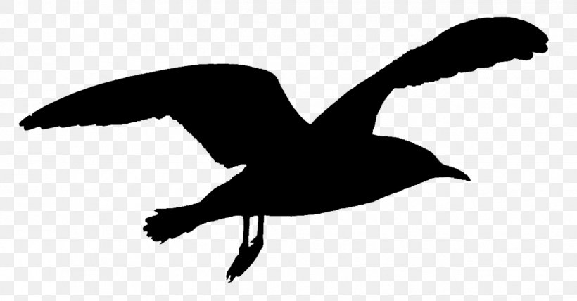 Swans Goose Beak Water Bird Ducks, PNG, 1236x646px, Swans, Beak, Bird, Charadriiformes, Duck Download Free