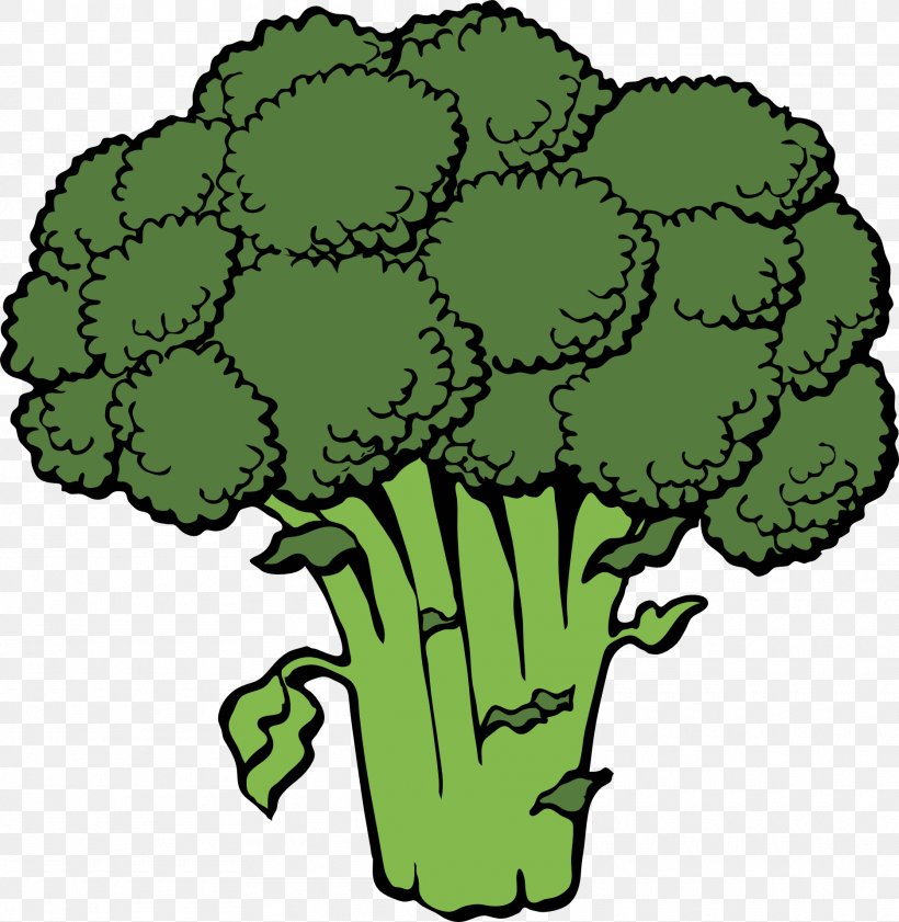 Broccoli Vegetable Clip Art, PNG, 1870x1920px, Broccoli, Cabbage, Cartoon,  Cauliflower, Drawing Download Free